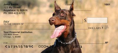 Doberman Pinscher