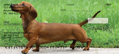 Dachshund