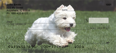 West Highland White Terrier