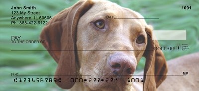 Vizsla