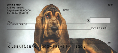 Bloodhound