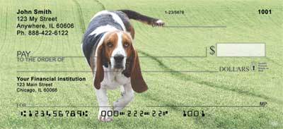 Basset Hound