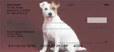 Jack Russell Terrier