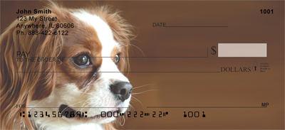 Cavalier King Charles Spaniel